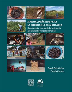 Portada del libro "Manual práctico para la soberanía alimentaria : Gastronomía, comunidad y resistencia desde Cosoltepec para el mundo"